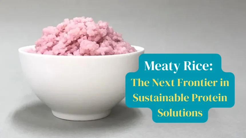 Meaty Rice